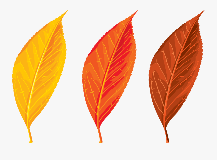 Top 82 Autumn Leaf Clip Art - Autumn Leaves Clip Art Png, Transparent Clipart