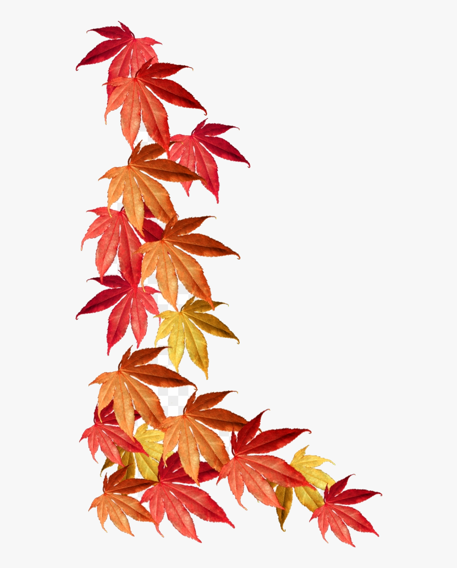 Fall Border Autumn Leaves Clipart Transparent Png Transparent Autumn Leaves Png Free Transparent Clipart Clipartkey