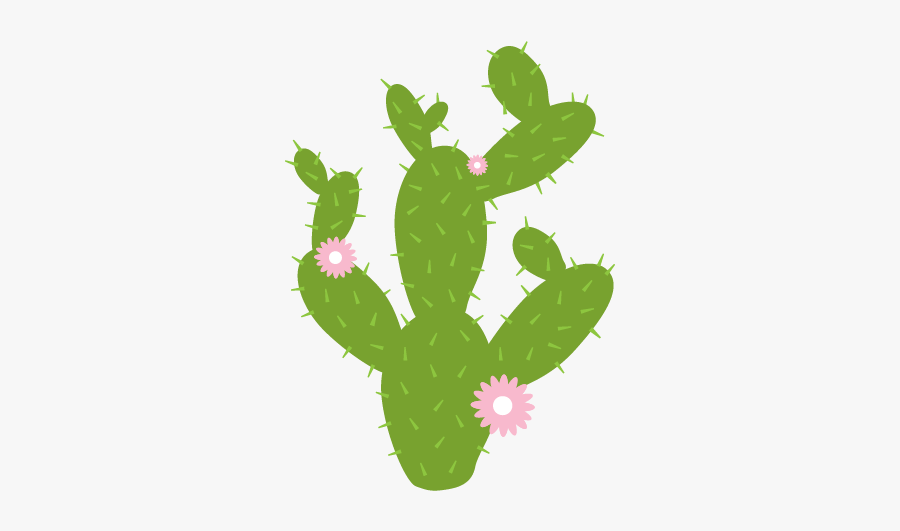 Collection Of Free Cactus Transparent Prickly Pear - Prickly Pear Cactus Clipart, Transparent Clipart