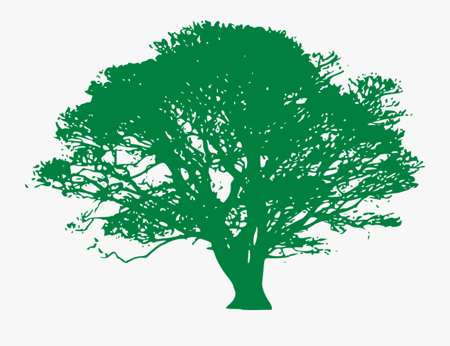 Oaktree Clipart Fig Tree - Green Tree Silhouette Png, Transparent Clipart