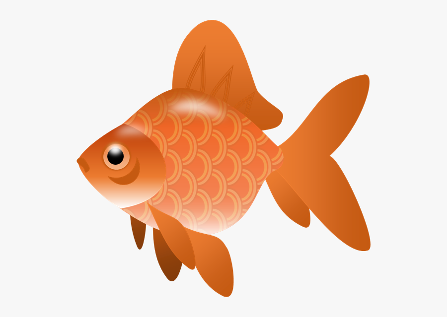 Download Free Fish Clip Art Danaami2 Top - Fish Clipart No Background, Transparent Clipart