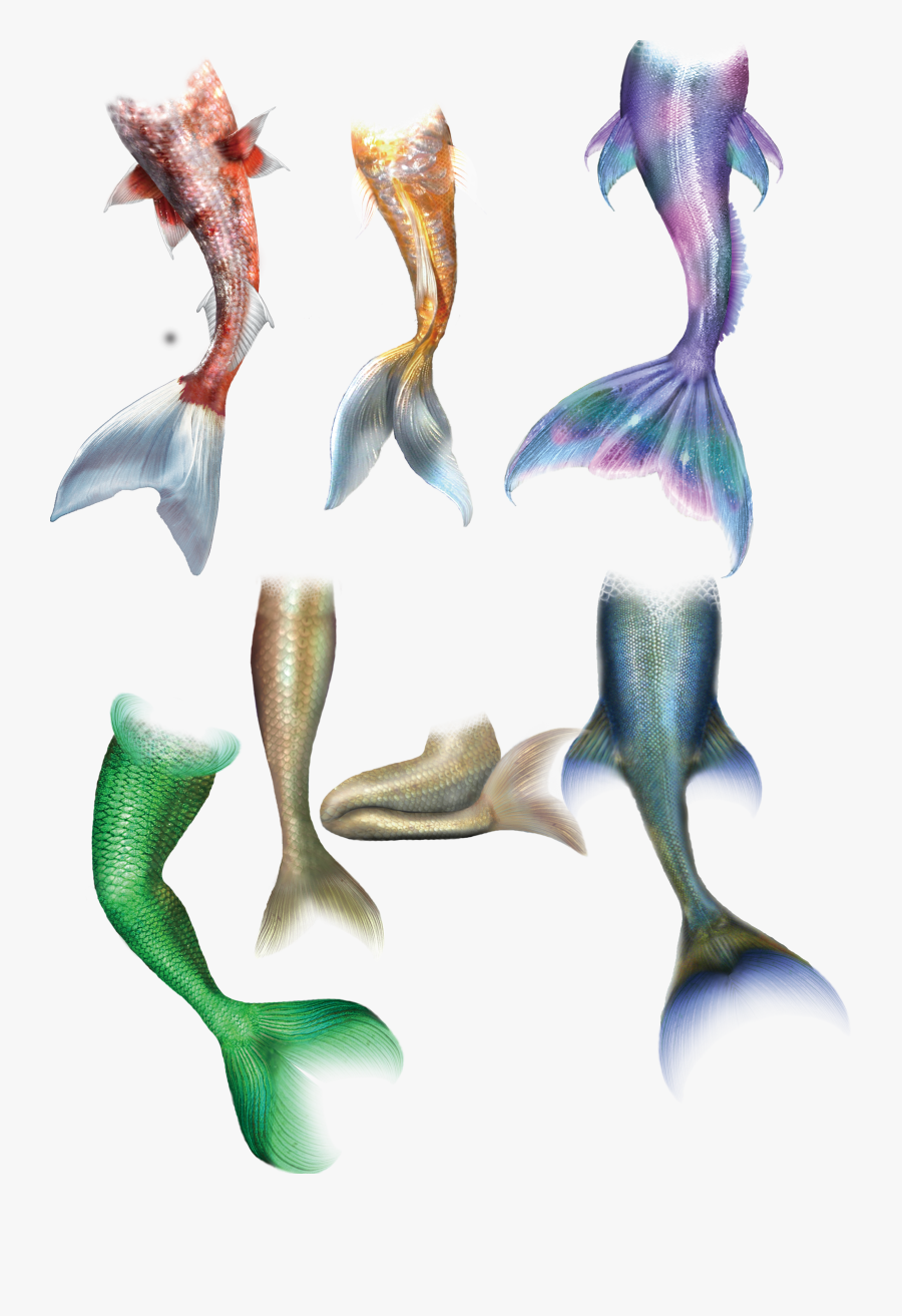 Mermaid Tail Clipart For Printable - Drawing Detailed Mermaid Tail, Transparent Clipart