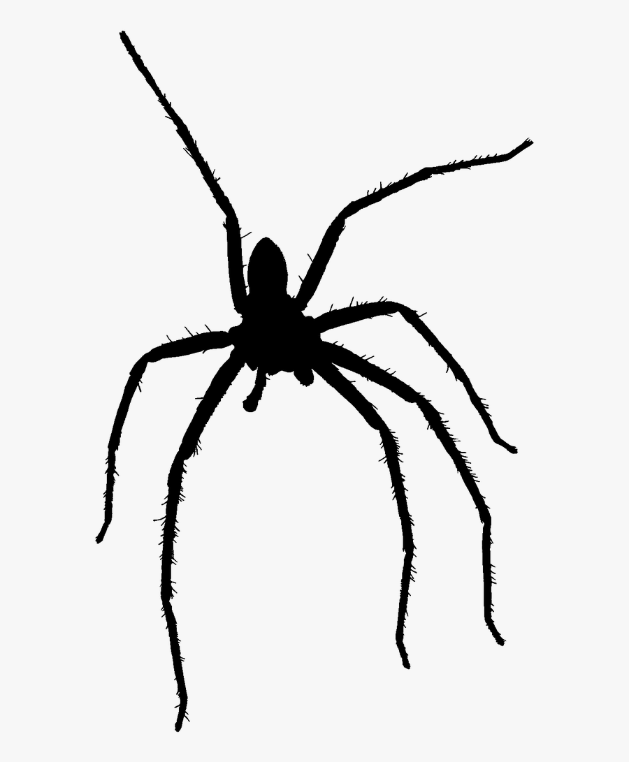 Spider Clipart Wolf - Wolf Spider Silhouette, Transparent Clipart