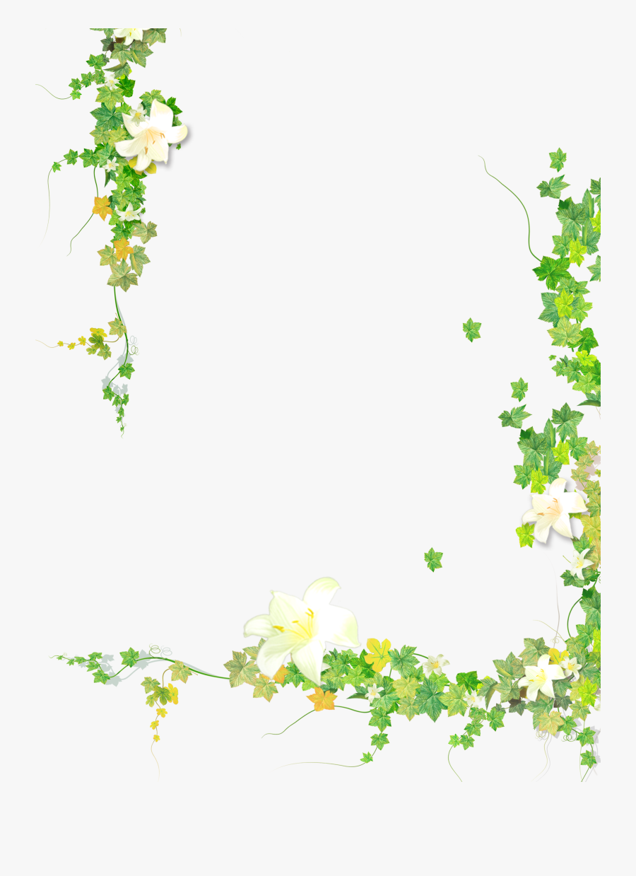 Summer Plant Flower Leaf Painted Vine Hand Clipart - Vines Clipart Transparent Background, Transparent Clipart