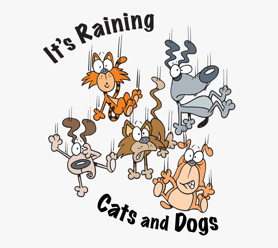 Raining Cats And Dogs, Transparent Clipart
