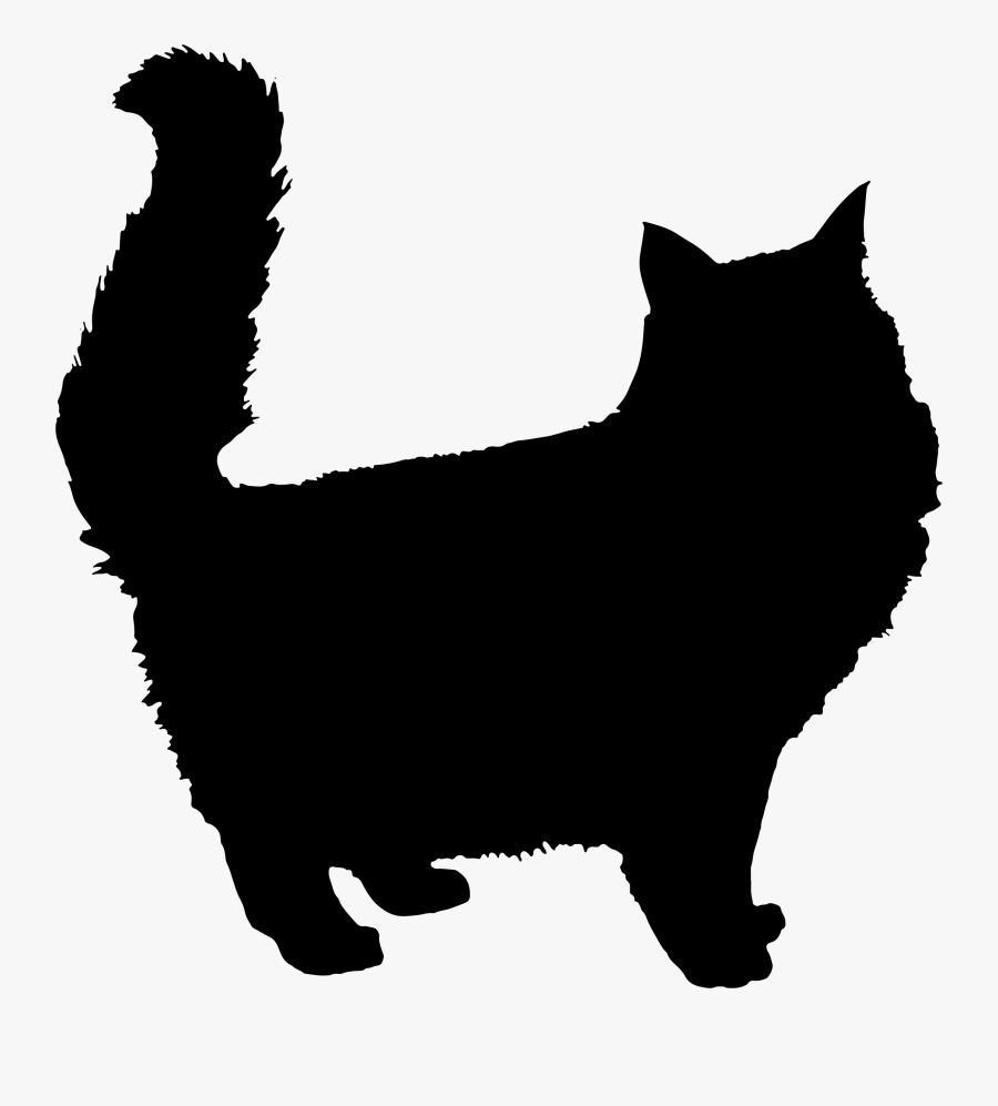 Fluffy Cat Silhouette, Transparent Clipart
