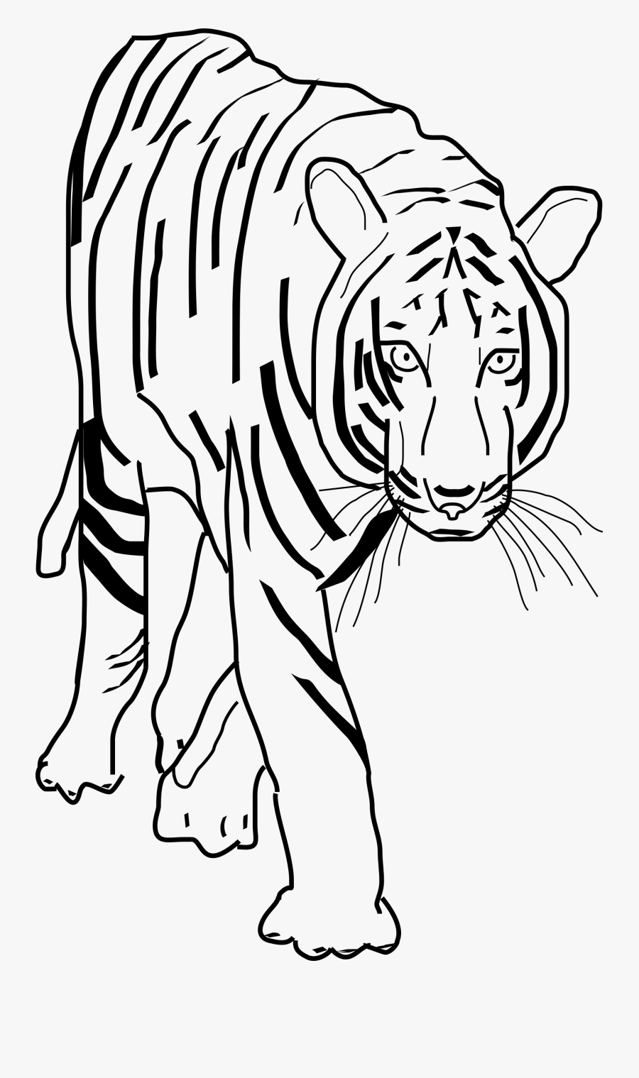 Black And White Clipart Best Beobbf Clipart Anonymous - Tigers Clipart Black And White, Transparent Clipart