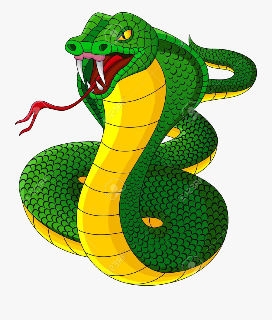 Cobra Snakes Clipart - Dibujo De Cobra A Color, Transparent Clipart