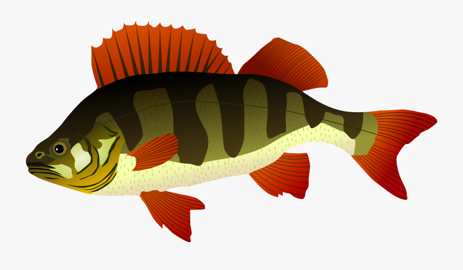 Clipart Fish Clipart - Clipart Fish In Png, Transparent Clipart