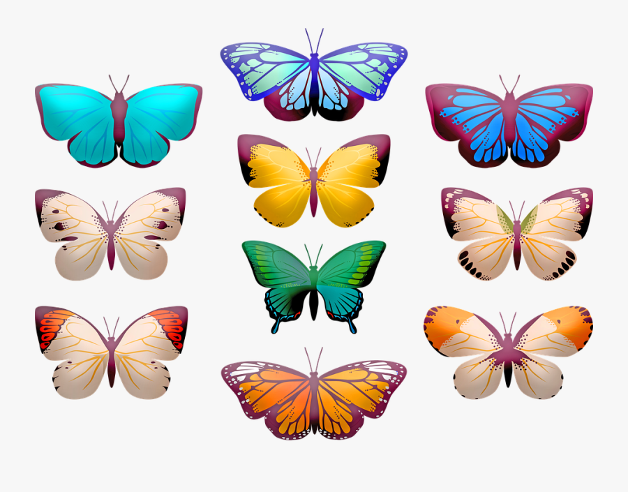 Butterfly Clip Art, Butterflies, Insect, Butterfly - Clip Art Butterfly, Transparent Clipart