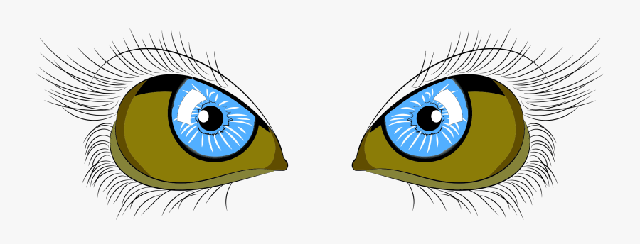 Iris,close Up,eye - Eye, Transparent Clipart