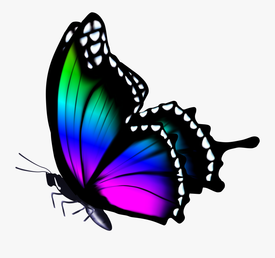 Butterfly Clipart Png Clip - Colorful Clip Art Butterfly, Transparent Clipart
