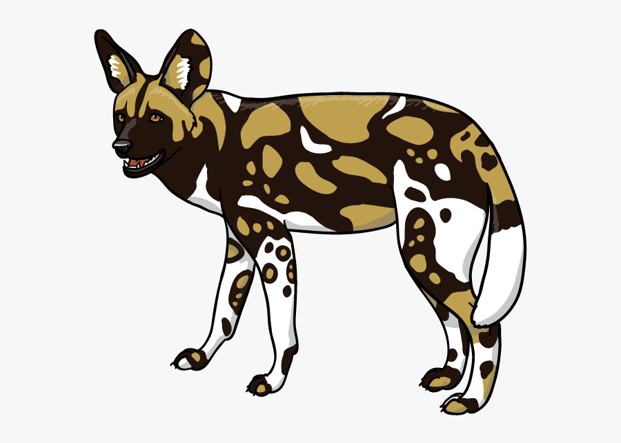 Download Africa Wild Animal - African Wild Dog Clipart, Transparent Clipart