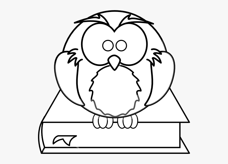 Owl - Book - Clipart - High Resolution Coloring Book, Transparent Clipart