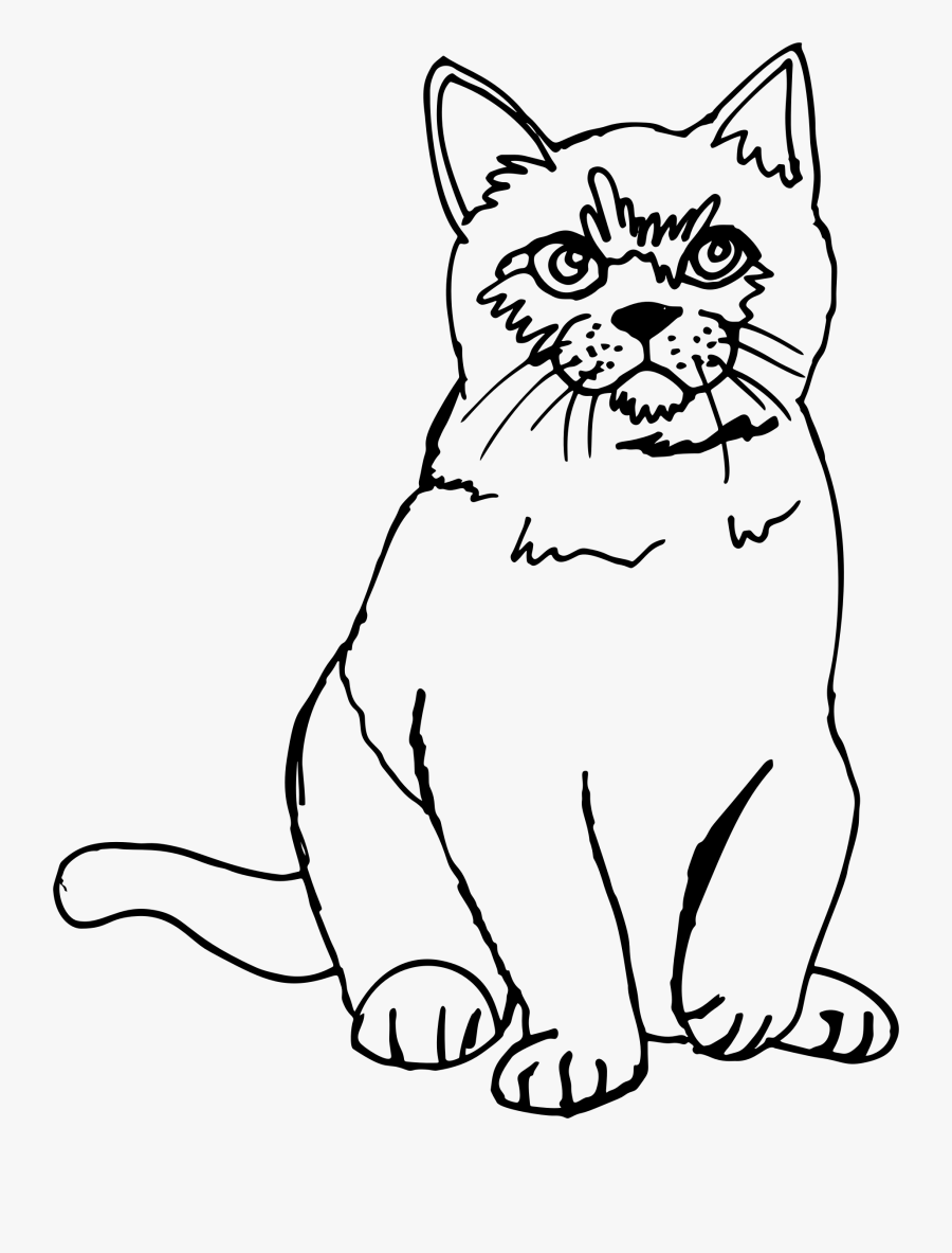 Clipart - Sketch Pictures Of Cat, Transparent Clipart