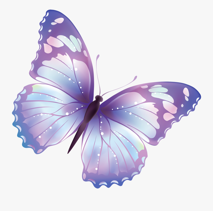 Pin By Rt Digital - Cartoon Transparent Background Butterfly, Transparent Clipart