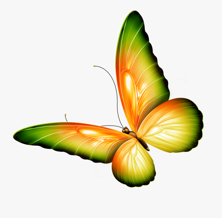 Clipart Flowers And Butterflies Border - Transparent Background Butterfly Clipart, Transparent Clipart