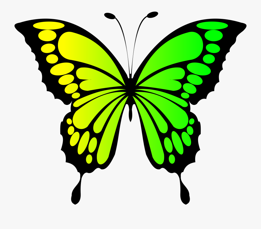 Yellow Clipart Butterfly - Butterfly Clipart Yellow Green, Transparent Clipart