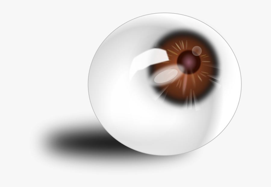 Human Eye Clipart, Vector Clip Art Online, Royalty - Brown Eye Anatomy, Transparent Clipart