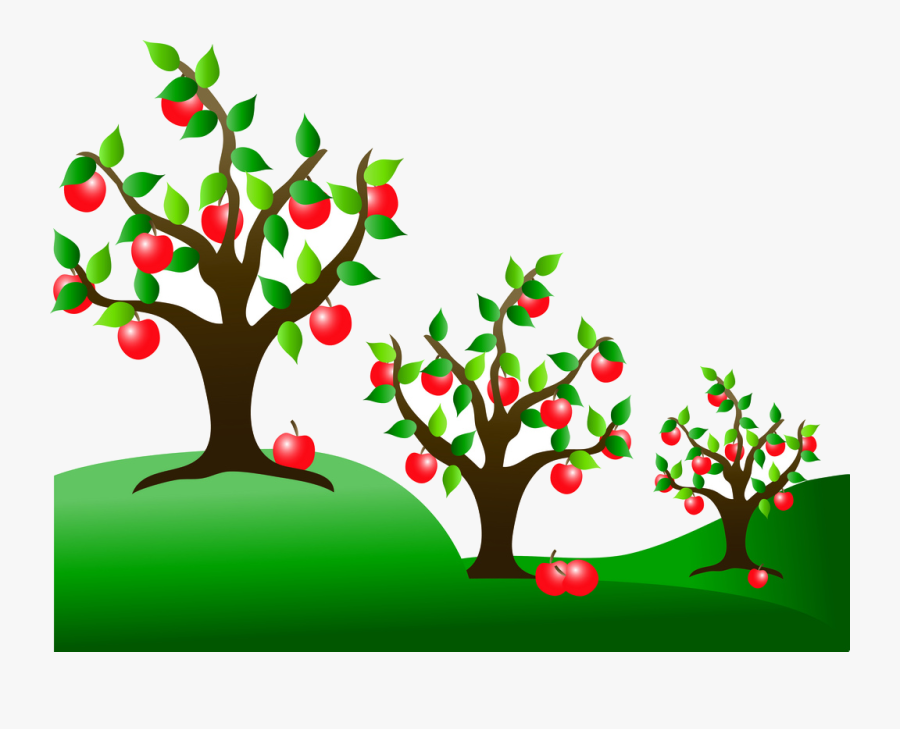 Apple Tree Fruit Trees Clipart Free Cliparts Images - Apple Tree Background Clipart, Transparent Clipart