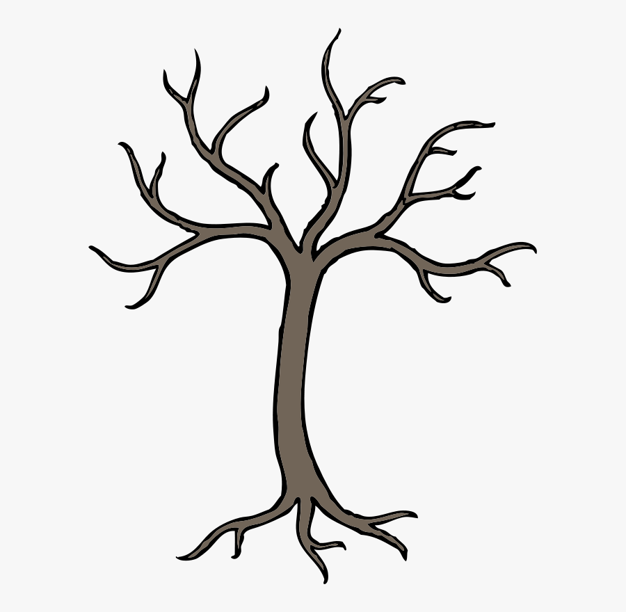 Tree Cartoon Drawing Oak Branch Cc0 - Easy Dead Tree Drawing, Transparent Clipart