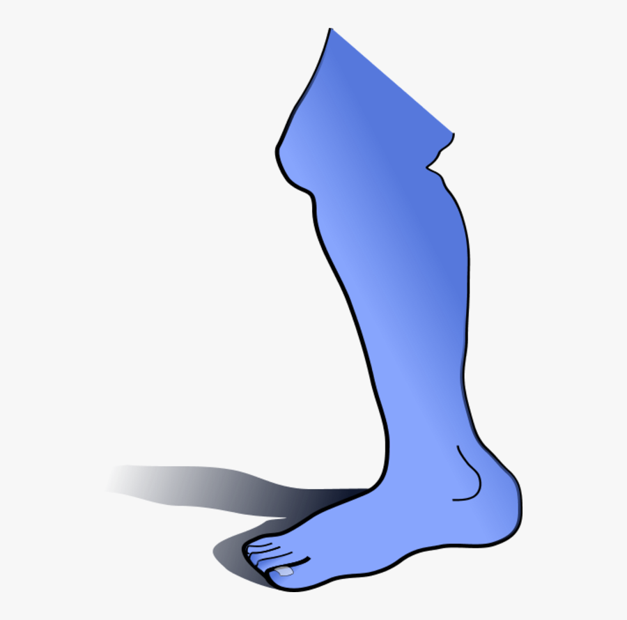 Vector Clip Art - Leg Clip Art, Transparent Clipart