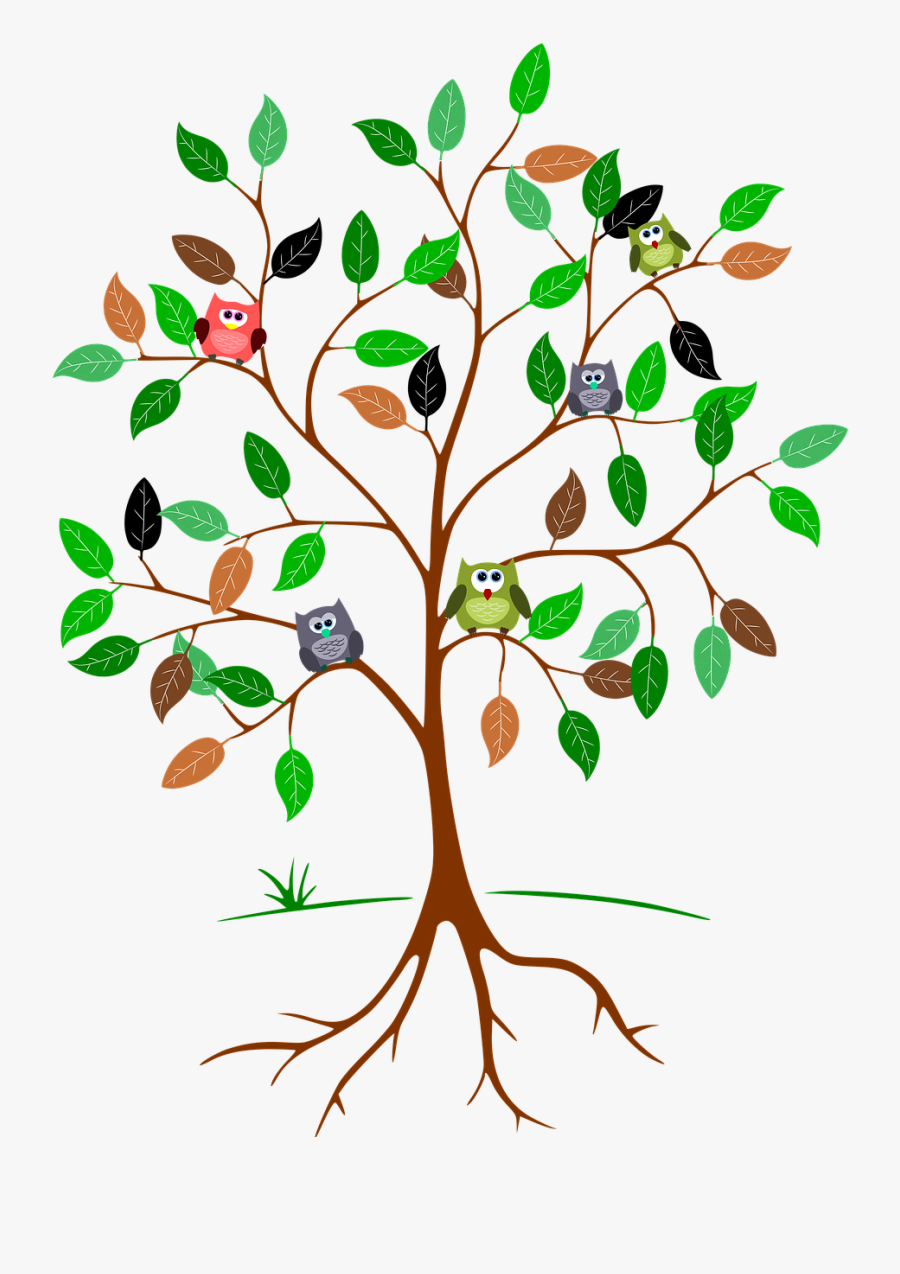 Owls In A Tree - Tree With Roots And Leaves, Transparent Clipart