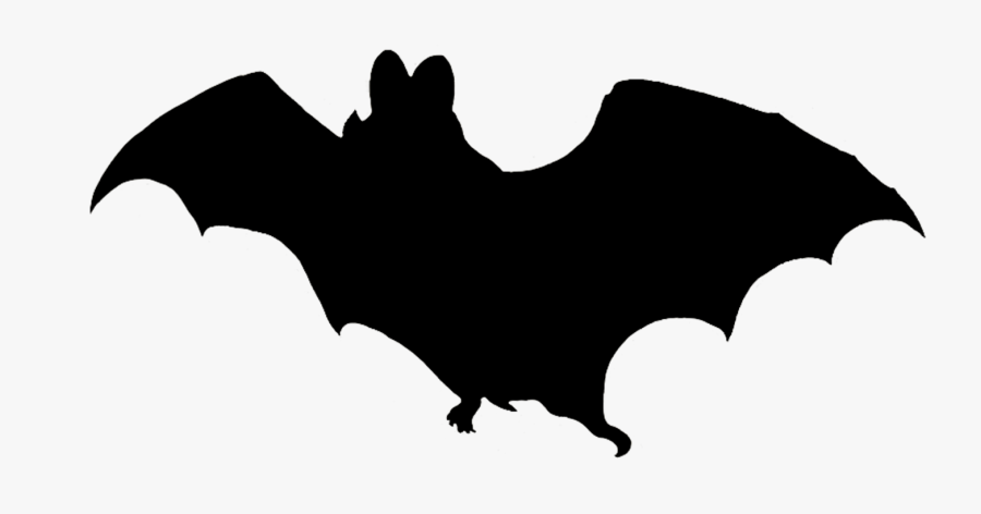 Vampire Bat Silhouette - Bat, Transparent Clipart