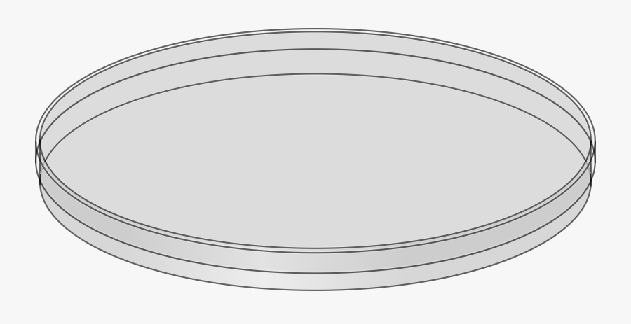 Transparent Dirty Dishes Png - Petri Dishes Clipart, Transparent Clipart
