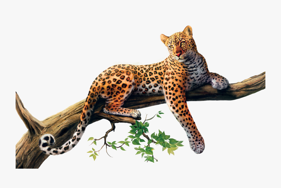 Animal Jaguar Png High Quality Image Sri Lankan - Jaguar Png, Transparent Clipart