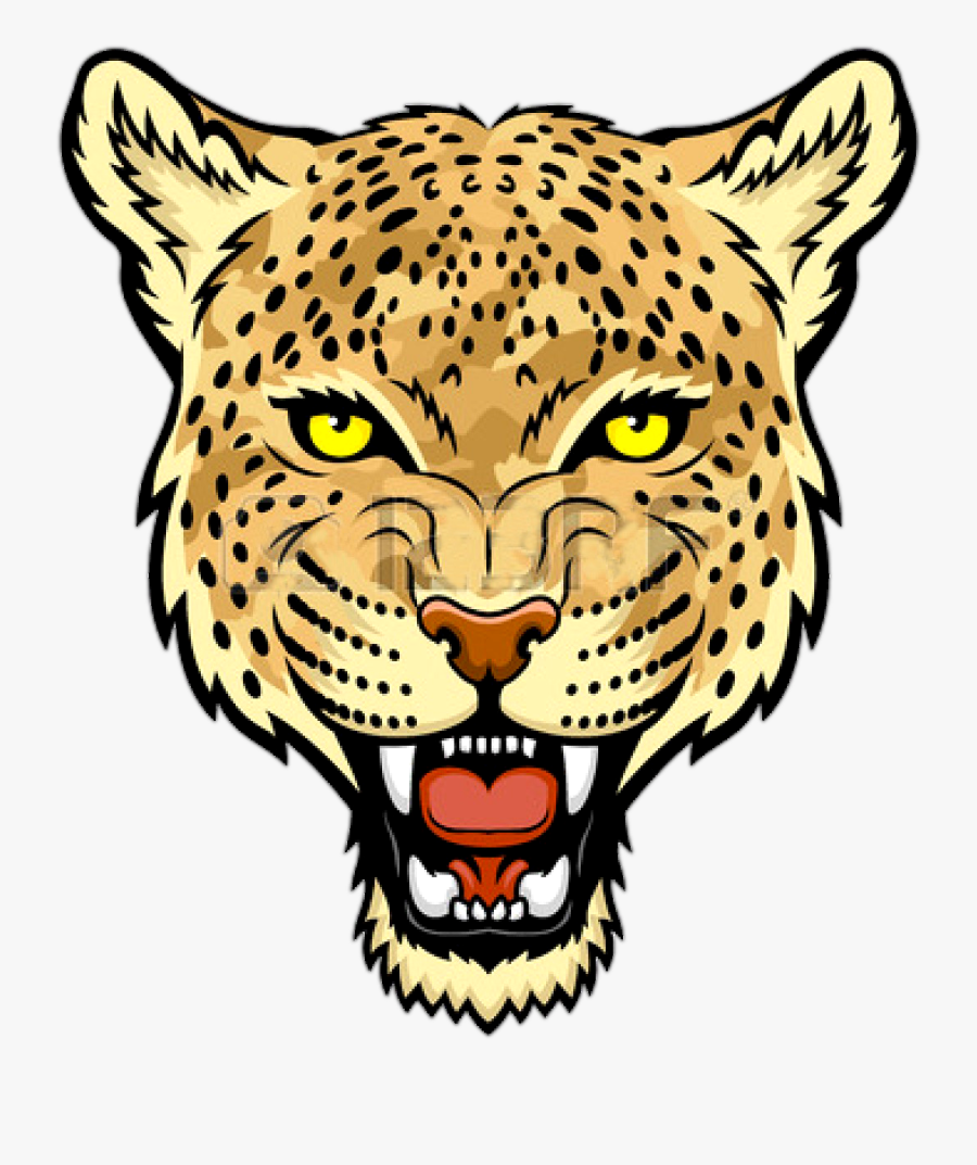 Jaguar Face Transparent Picture - Leopard Head Clip Art, Transparent Clipart