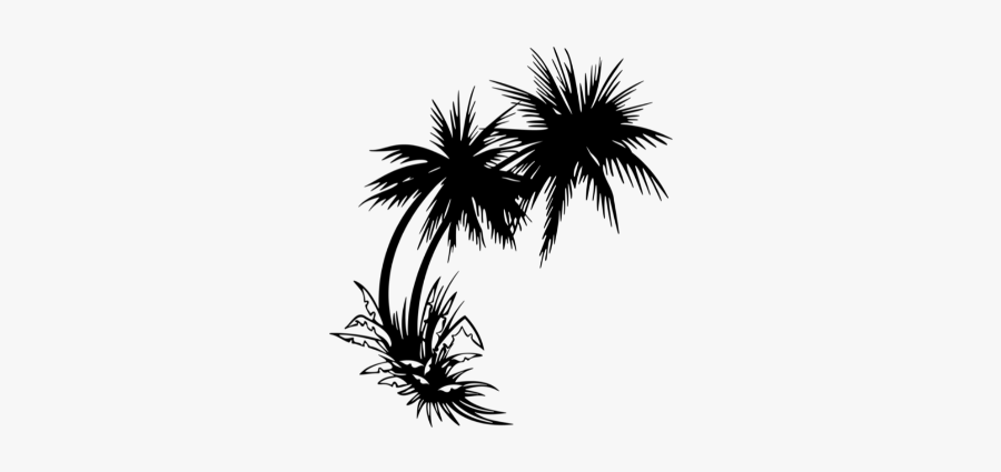Clip Art Palm Trees Sticker Image - Palm Tree Sunset Png, Transparent Clipart