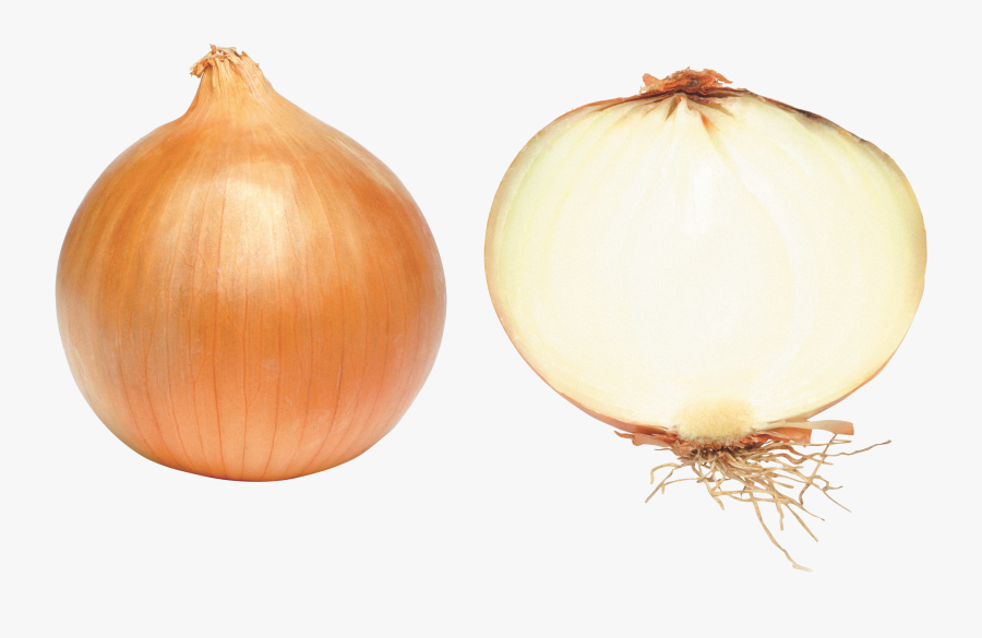 Free Download Of Onion Icon Clipart - Download Png Transparent Transparent Background Onion, Transparent Clipart