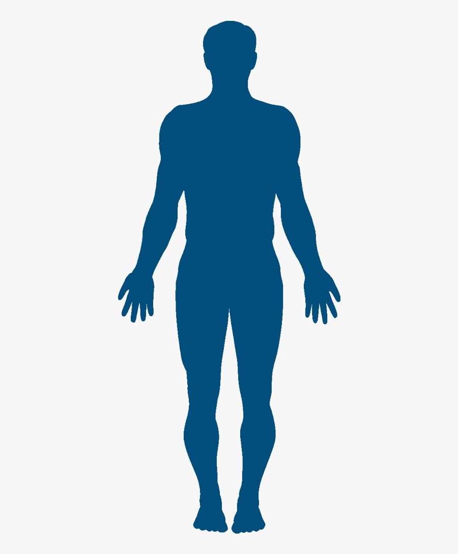 Vector Graphics Clip Art Silhouette Human Body Stock , Free Transparent ...