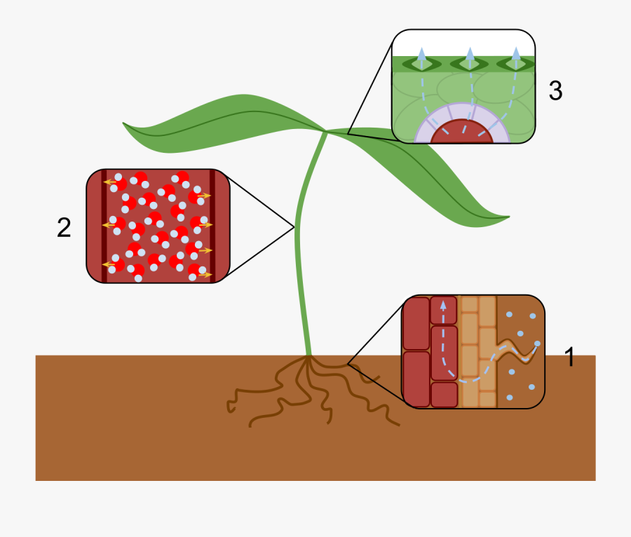 png-black-and-white-stock-evaporation-clipart-chemistry-transpiration