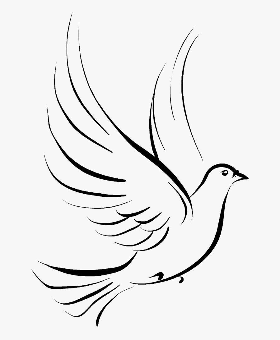 Columbidae Funeral Symbols As Drawing Doves - Dove Bird Tattoo Design, Transparent Clipart