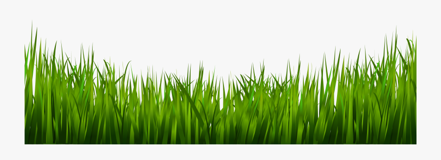 Clip Art Landscaping Black And - Grass And Plants Png, Transparent Clipart