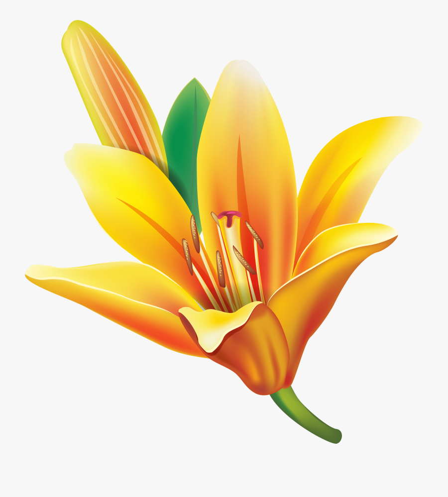 Yellow Bell Flower Png Clipart , Png Download - Yellow Bell Flower Clipart, Transparent Clipart