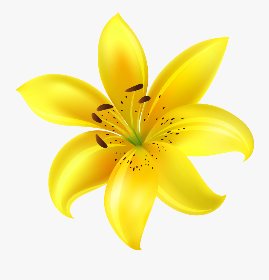 Cute Yellow Flower Clipart, Transparent Clipart