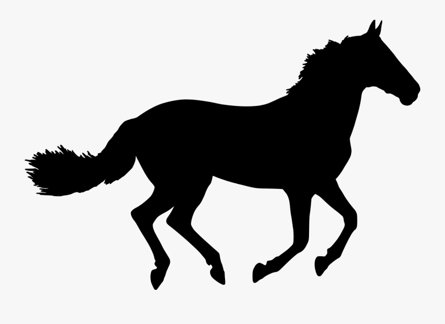 Vector Graphics Clip Art Mustang Silhouette Horse Racing - Clip Art Horse Silhouette, Transparent Clipart