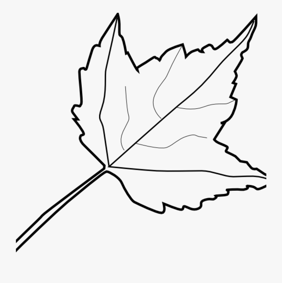 Leaf Outline Images Maple Leaf Outline Clip Art At - Autumn Leaves Clipart Black And White, Transparent Clipart