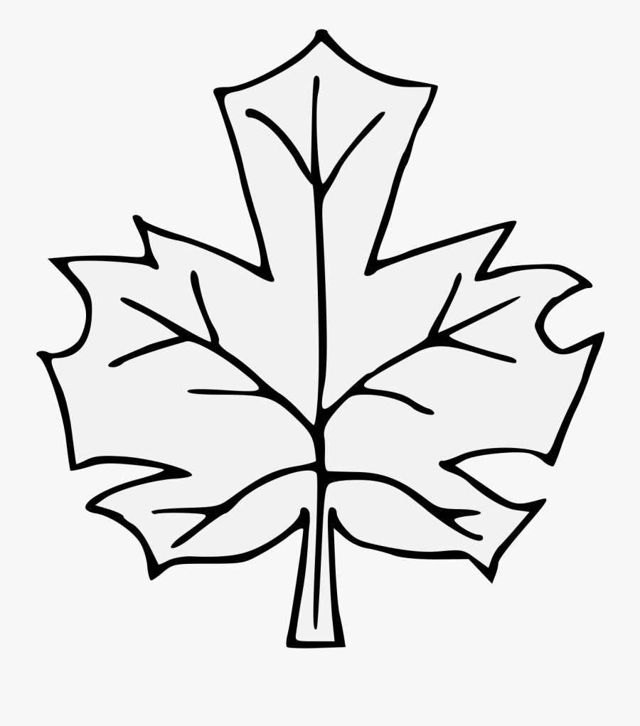 Maple Leaf Clipart Traceable - Line Art , Free Transparent Clipart