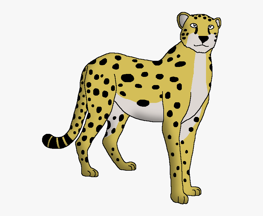 Wildlife Animal Pedia Wiki , Free Transparent Clipart - ClipartKey