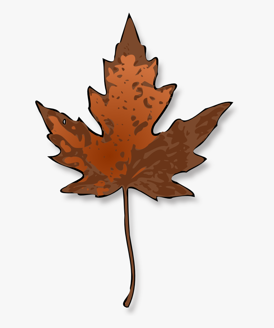 Maple Leaf - Brown Maple Leaf Clipart, Transparent Clipart