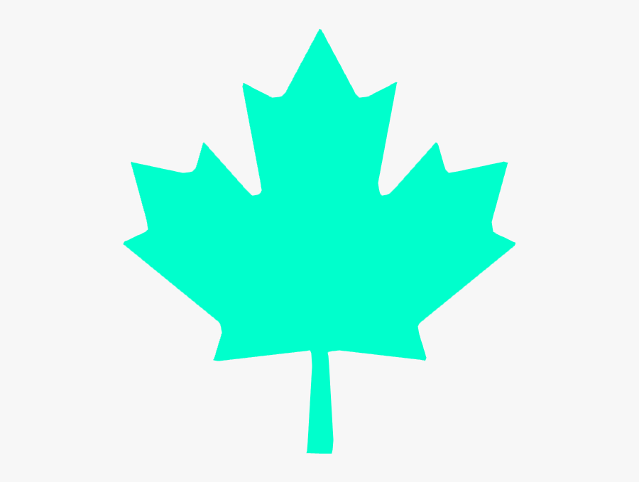Wbp Maple Leaf - Canada Maple Leaf Png, Transparent Clipart