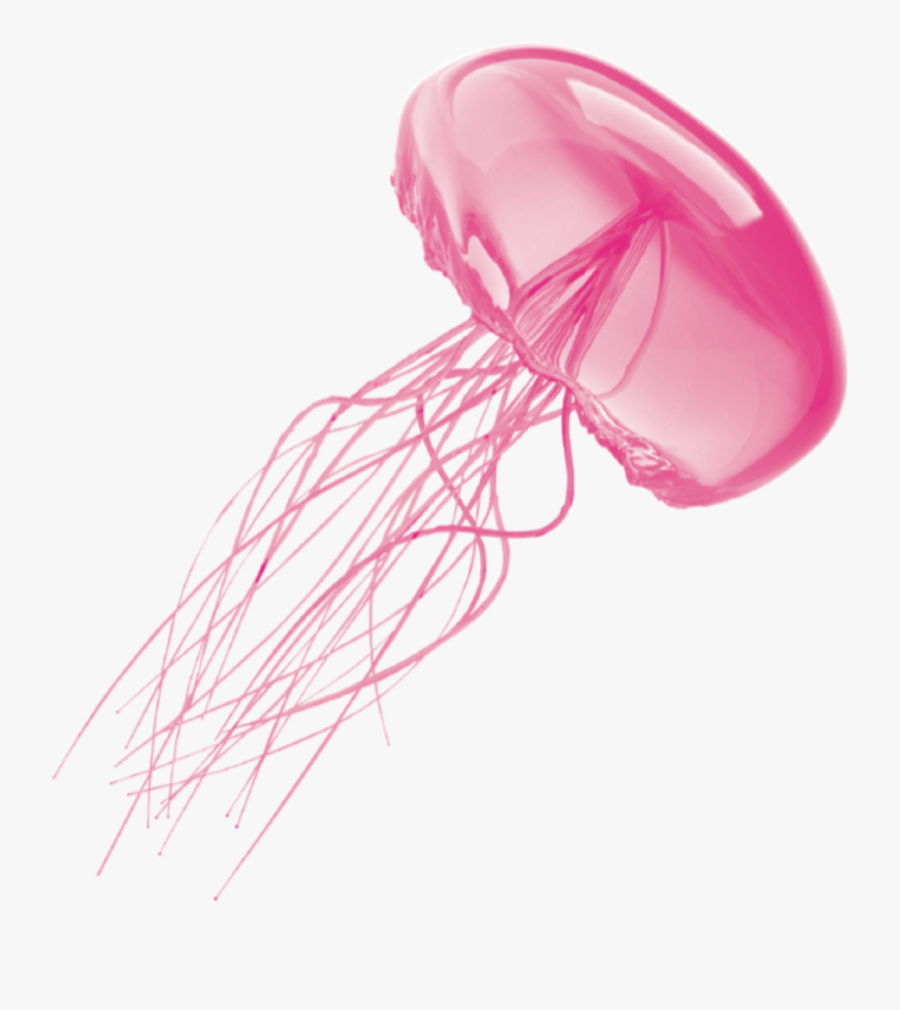 Clip Art Pink Meanie Jellyfish - Jellyfish With No Background, Transparent Clipart