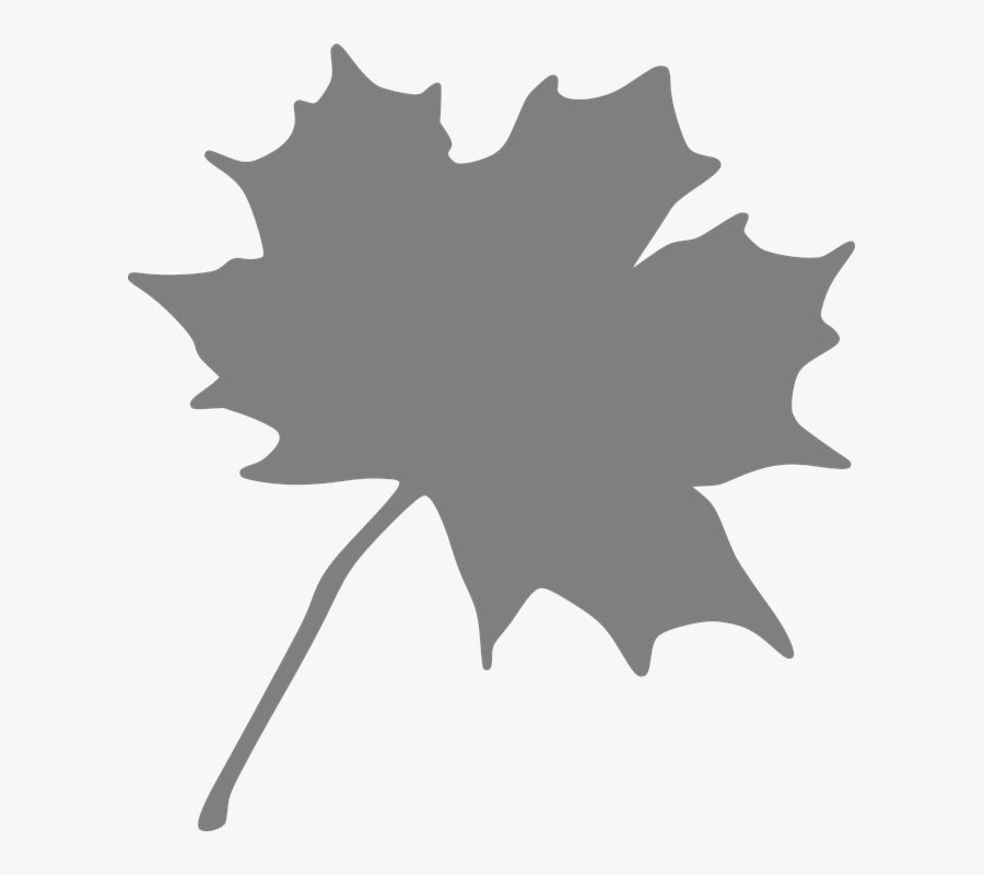 Maple, Leaf, Grey - Orange Leaf Clip Art, Transparent Clipart