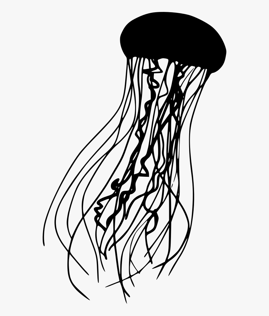 Download Jellyfish Png - Jellyfish Svg Free , Free Transparent ...