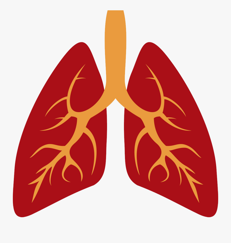 Lung Png Images Free Download - Human Lung Lung Icon, Transparent Clipart