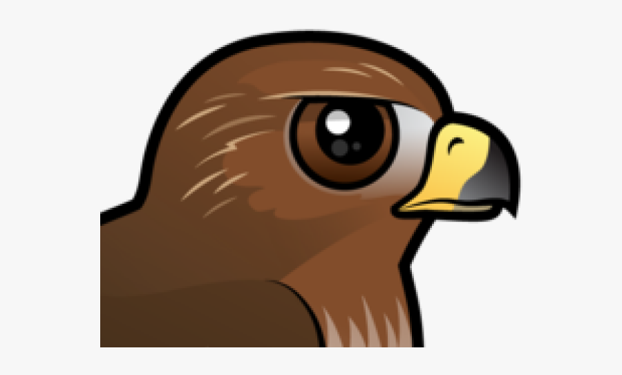 Red Tailed Hawk Clipart, Transparent Clipart